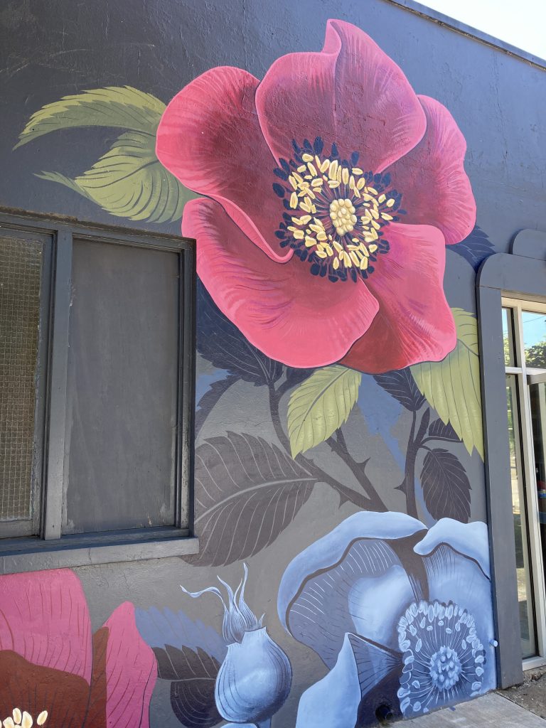 Nootka Rose Native Species Mural in Springfield, Oregon
Photo Credit: Jessilyn Brinkerhoff