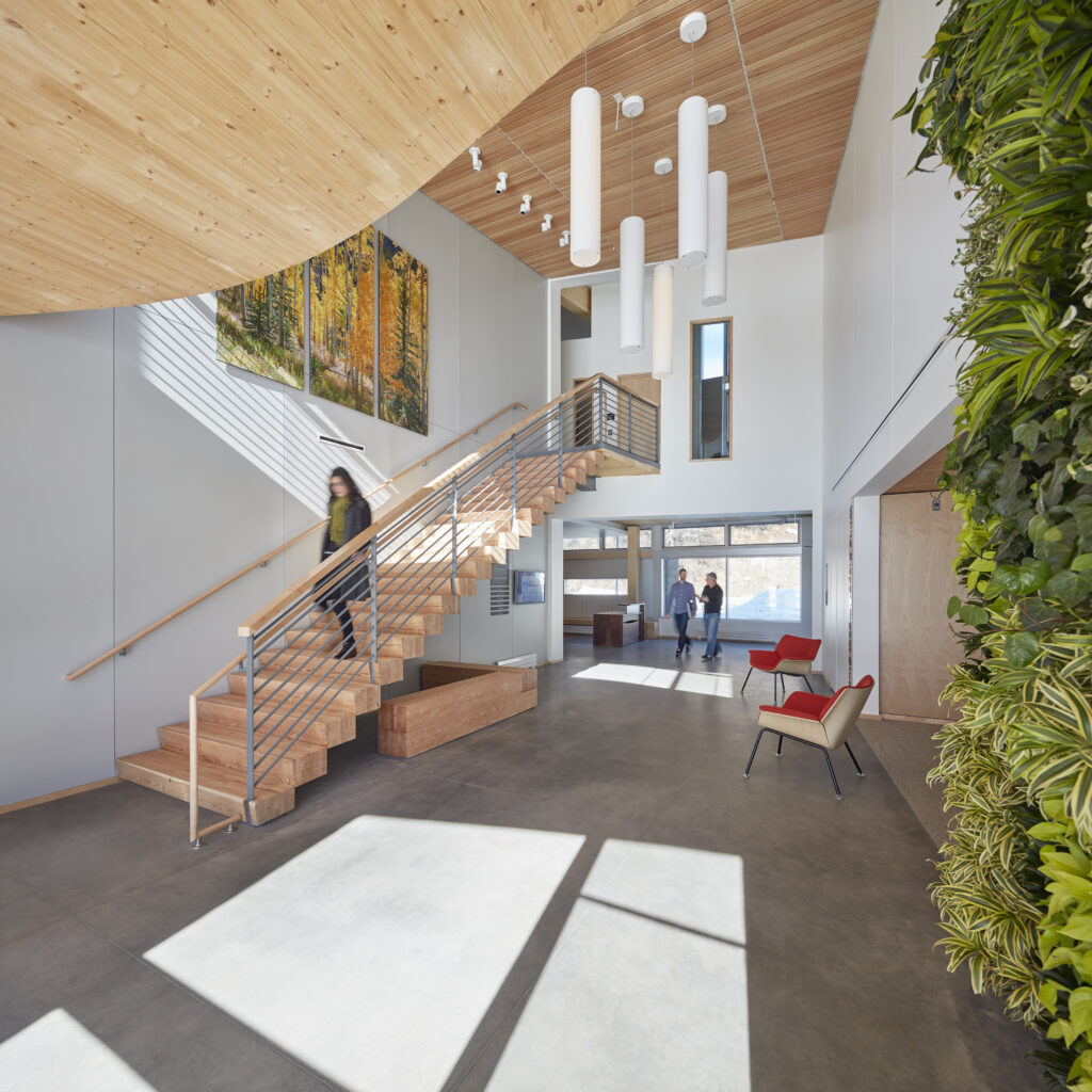 Modern indoor lobby with a curved wooden ceiling white cylindrical pendant lights and a wooden staircase with metal railing