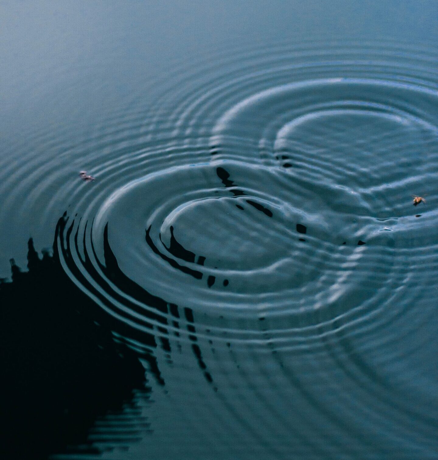 Blue water surface with concentric ripple rings emanating from a small disturbance near the lower right edge