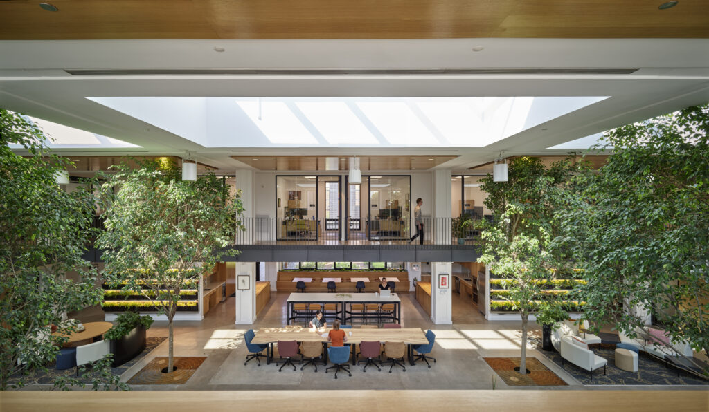 Open office atrium with indoor trees wooden balconies and people working at long tables in the central space